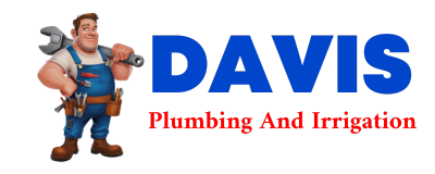 Trusted plumber in ORESTES